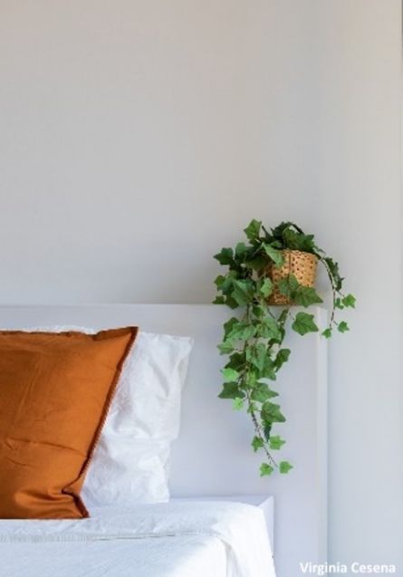 Cardboard Headboard color white with a satin finish - Cubiqz